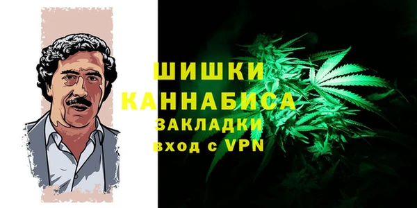 трава Белая Холуница