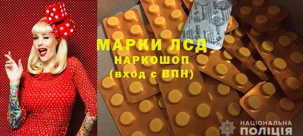 прущие грибы Беломорск