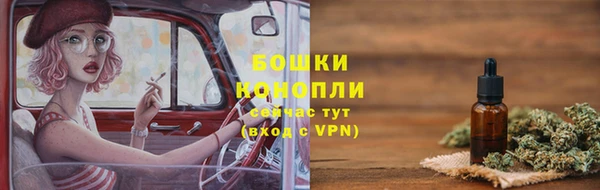 ПСИЛОЦИБИНОВЫЕ ГРИБЫ Белокуриха
