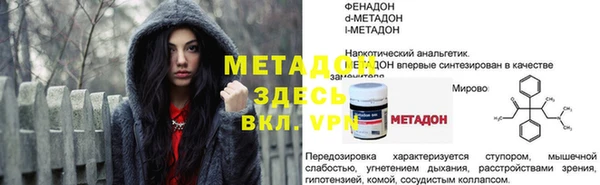 прущие грибы Беломорск