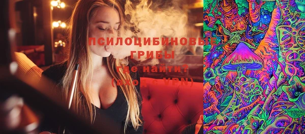 ПСИЛОЦИБИНОВЫЕ ГРИБЫ Белокуриха