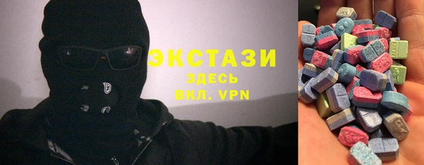 индика Ельня
