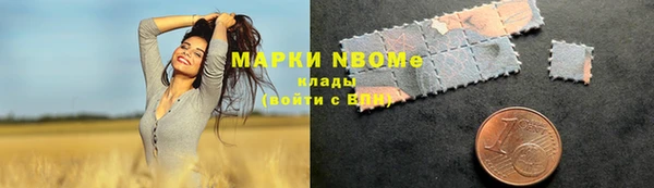 прущие грибы Беломорск