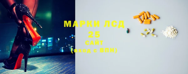 ПСИЛОЦИБИНОВЫЕ ГРИБЫ Белокуриха