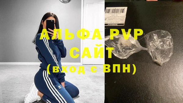 ПСИЛОЦИБИНОВЫЕ ГРИБЫ Белокуриха