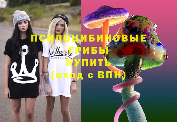 шишки Бежецк
