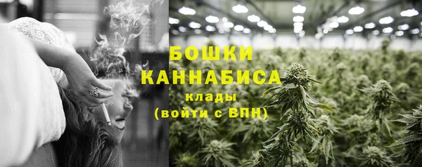 ПСИЛОЦИБИНОВЫЕ ГРИБЫ Белокуриха