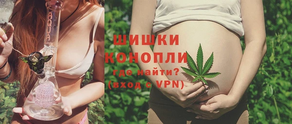 прущие грибы Беломорск