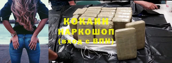 прущие грибы Беломорск