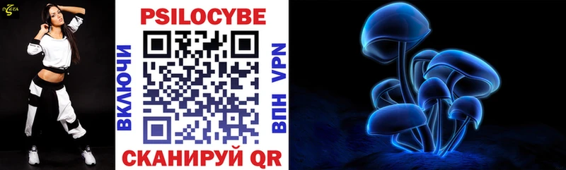 KRAKEN зеркало  Гаврилов-Ям  Галлюциногенные грибы прущие грибы 